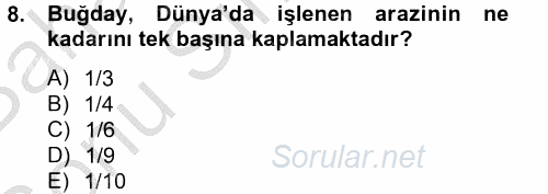 Tarla Bitkileri 1 2014 - 2015 Dönem Sonu Sınavı 8.Soru