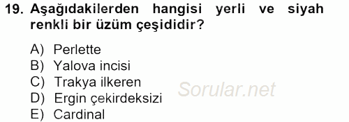 Örtü Altı Üretim Sistemleri 2013 - 2014 Tek Ders Sınavı 19.Soru