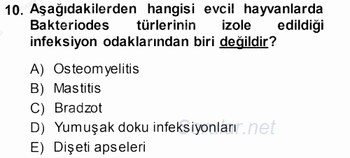 Veteriner Mikrobiyoloji ve Epidemiyoloji 2014 - 2015 Dönem Sonu Sınavı 10.Soru