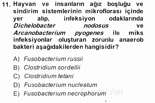 Veteriner Mikrobiyoloji ve Epidemiyoloji 2014 - 2015 Dönem Sonu Sınavı 11.Soru