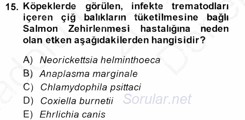 Veteriner Mikrobiyoloji ve Epidemiyoloji 2014 - 2015 Dönem Sonu Sınavı 15.Soru