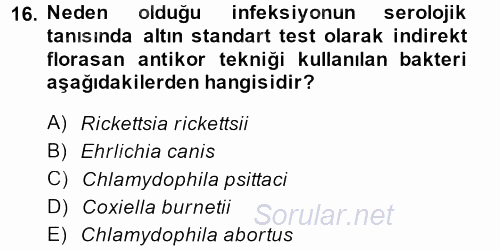 Veteriner Mikrobiyoloji ve Epidemiyoloji 2014 - 2015 Dönem Sonu Sınavı 16.Soru