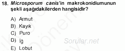 Veteriner Mikrobiyoloji ve Epidemiyoloji 2014 - 2015 Dönem Sonu Sınavı 18.Soru