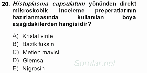 Veteriner Mikrobiyoloji ve Epidemiyoloji 2014 - 2015 Dönem Sonu Sınavı 20.Soru