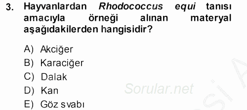 Veteriner Mikrobiyoloji ve Epidemiyoloji 2014 - 2015 Dönem Sonu Sınavı 3.Soru