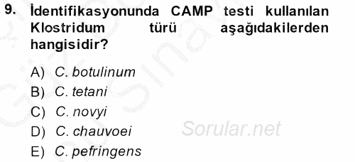 Veteriner Mikrobiyoloji ve Epidemiyoloji 2014 - 2015 Dönem Sonu Sınavı 9.Soru