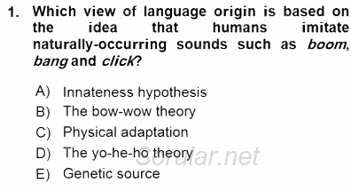 Dilbilim 1 2015 - 2016 Ara Sınavı 1.Soru