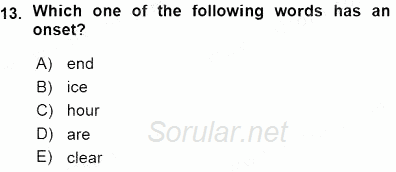 Dilbilim 1 2015 - 2016 Ara Sınavı 13.Soru