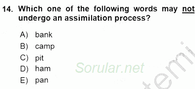 Dilbilim 1 2015 - 2016 Ara Sınavı 14.Soru
