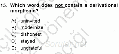 Dilbilim 1 2015 - 2016 Ara Sınavı 15.Soru