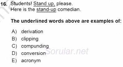 Dilbilim 1 2015 - 2016 Ara Sınavı 16.Soru