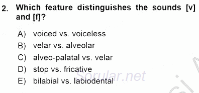 Dilbilim 1 2015 - 2016 Ara Sınavı 2.Soru