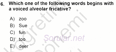 Dilbilim 1 2015 - 2016 Ara Sınavı 6.Soru