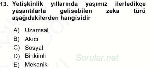 Anne Baba Eğitimi 2015 - 2016 Ara Sınavı 13.Soru