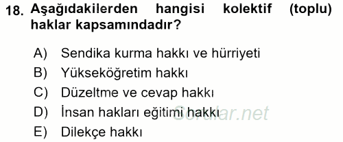 İnsan Hakları Ve Kamu Özgürlükleri 2016 - 2017 Dönem Sonu Sınavı 18.Soru