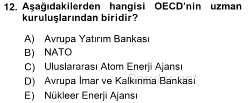 Uluslararası Ekonomik Kuruluşlar 2016 - 2017 Dönem Sonu Sınavı 12.Soru