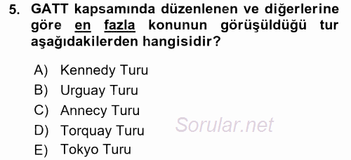 Uluslararası Ekonomik Kuruluşlar 2016 - 2017 Dönem Sonu Sınavı 5.Soru