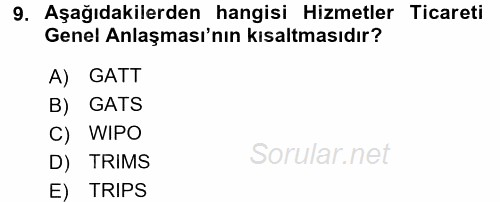 Uluslararası Ekonomik Kuruluşlar 2016 - 2017 Dönem Sonu Sınavı 9.Soru
