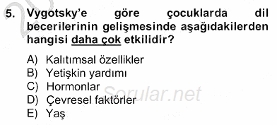 Erken Çocukluk Döneminde Gelişim 2 2012 - 2013 Ara Sınavı 5.Soru