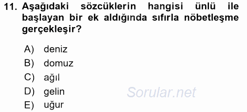 Türkçe Ses Bilgisi 2016 - 2017 Dönem Sonu Sınavı 11.Soru