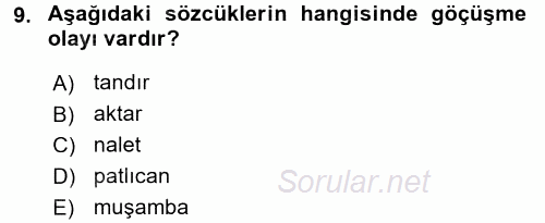 Türkçe Ses Bilgisi 2016 - 2017 Dönem Sonu Sınavı 9.Soru