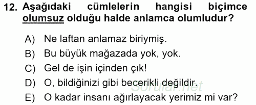 Türkçe Cümle Bilgisi 2 2015 - 2016 Dönem Sonu Sınavı 12.Soru