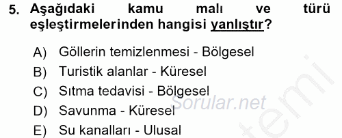 Uluslararası Kamu Maliyesi 2016 - 2017 Ara Sınavı 5.Soru