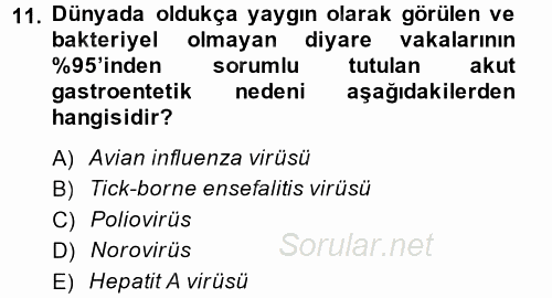 Gıda Güvenliğinin Temel Prensipleri 2014 - 2015 Dönem Sonu Sınavı 11.Soru