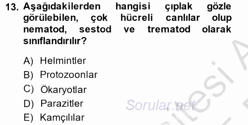 Gıda Güvenliğinin Temel Prensipleri 2014 - 2015 Dönem Sonu Sınavı 13.Soru