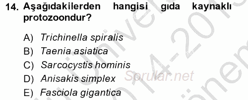 Gıda Güvenliğinin Temel Prensipleri 2014 - 2015 Dönem Sonu Sınavı 14.Soru