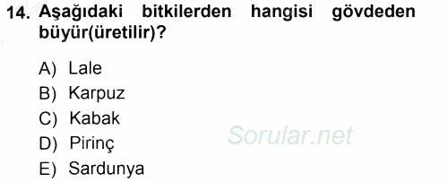Okulöncesinde Fen Eğitimi 2012 - 2013 Dönem Sonu Sınavı 14.Soru