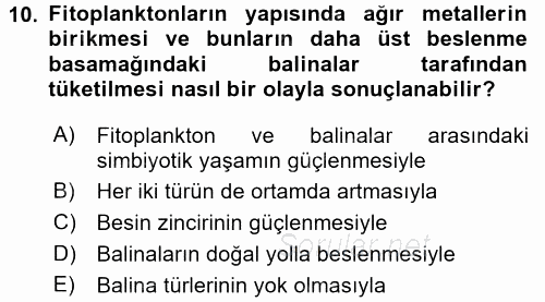 Çocuk, Bilim Ve Teknoloji 2017 - 2018 Dönem Sonu Sınavı 10.Soru
