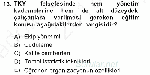 Sosyal Hizmet Yönetimi 2013 - 2014 Ara Sınavı 13.Soru