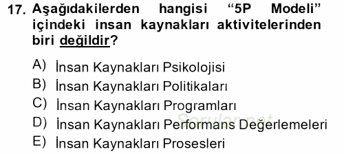 Stratejik Yönetim 1 2014 - 2015 Dönem Sonu Sınavı 17.Soru