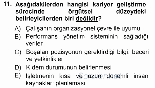 Performans ve Kariyer Yönetimi 2013 - 2014 Tek Ders Sınavı 11.Soru