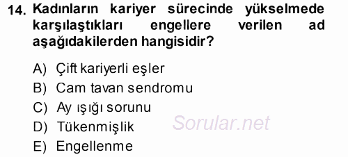 Performans ve Kariyer Yönetimi 2013 - 2014 Tek Ders Sınavı 14.Soru