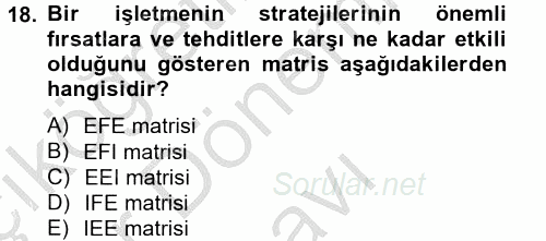 Stratejik Yönetim 2 2012 - 2013 Dönem Sonu Sınavı 18.Soru