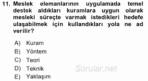 Sosyal Hizmete Giriş 2017 - 2018 Ara Sınavı 11.Soru