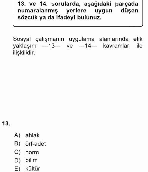 Sosyal Hizmete Giriş 2017 - 2018 Ara Sınavı 13.Soru