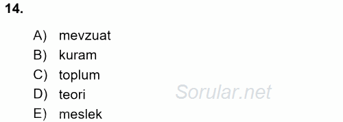 Sosyal Hizmete Giriş 2017 - 2018 Ara Sınavı 14.Soru