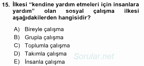 Sosyal Hizmete Giriş 2017 - 2018 Ara Sınavı 15.Soru