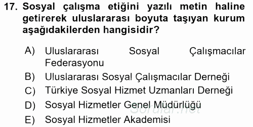 Sosyal Hizmete Giriş 2017 - 2018 Ara Sınavı 17.Soru