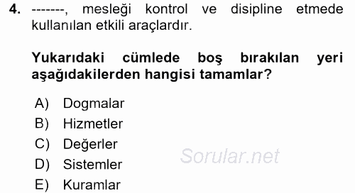 Sosyal Hizmete Giriş 2017 - 2018 Ara Sınavı 4.Soru