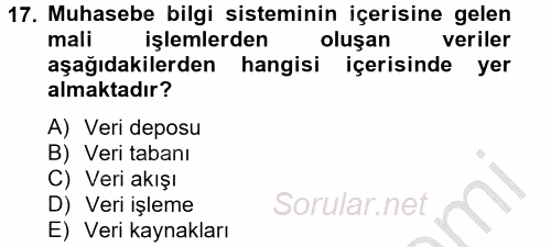 Muhasebede Bilgi Yönetimi 2012 - 2013 Dönem Sonu Sınavı 17.Soru