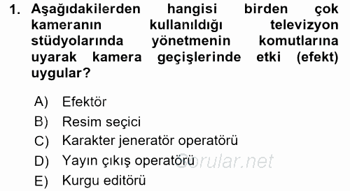Videonun Kullanım Alanları 2015 - 2016 Dönem Sonu Sınavı 1.Soru