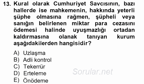 Ceza Muhakemesi Hukuku 2013 - 2014 Tek Ders Sınavı 13.Soru