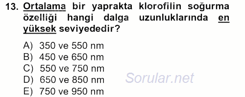 Örtü Altı Üretim Sistemleri 2012 - 2013 Ara Sınavı 13.Soru