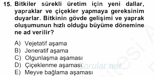 Örtü Altı Üretim Sistemleri 2012 - 2013 Ara Sınavı 15.Soru