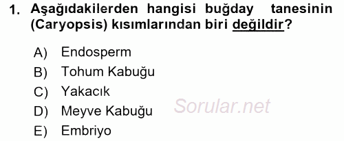 Tarla Bitkileri 1 2016 - 2017 3 Ders Sınavı 1.Soru