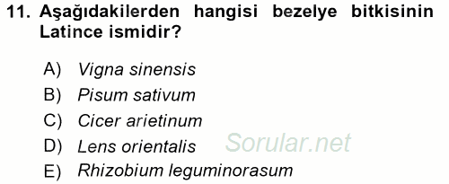Tarla Bitkileri 1 2016 - 2017 3 Ders Sınavı 11.Soru